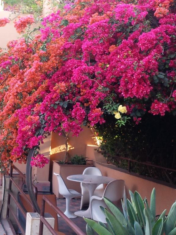 Riad Malika Marrakesh Bagian luar foto